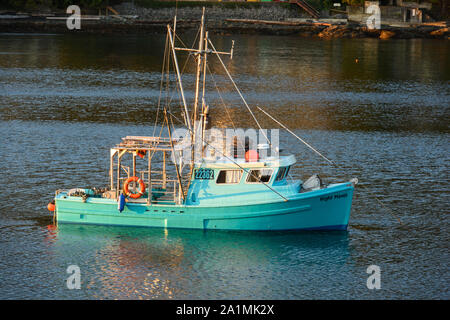 Fischtrawler vor Anker, Hals Punkt städtischen Park, Nanaimo, British Columbia, Kanada Stockfoto