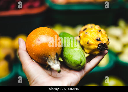 Hand hält bis exotische kolumbianischen Früchte auf ein Lebensmittel Marktstand | Juicy Granadilla Passionsfrucht, Curuba und Drachenfrucht Pitaya Stockfoto