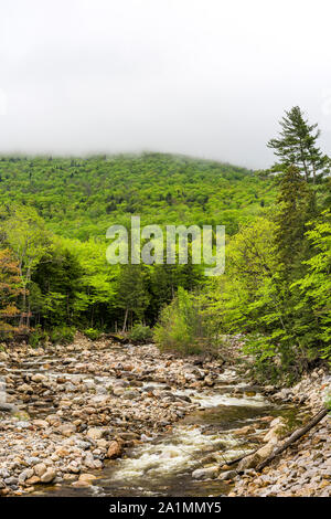 Sawyer Fluss im Frühjahr, White Mountain National Forest, Carroll Co, NH Stockfoto