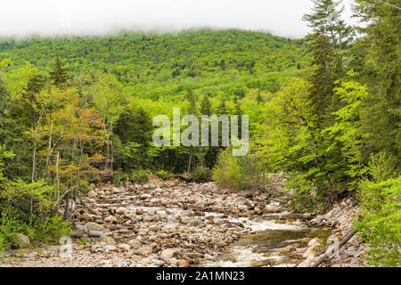 Sawyer Fluss im Frühjahr, White Mountain National Forest, Carroll Co, NH Stockfoto