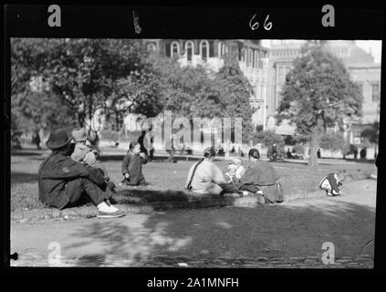 Auf Portsmouth Square, Chinatown, San Francisco Stockfoto