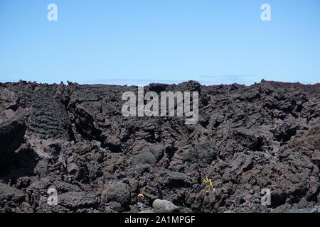 Pohoiki Black Sand Beach im Isaac Hale Beach Park auf Hawaii - Hawaiis neuester Strand, der durch die Eruptionen von Kilauea 2018 geschaffen wurde. Stockfoto