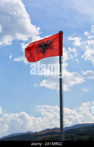 Albanien Flagge gegen den blauen Himmel mit weißen Wolken. Die albanische Flagge ist eine rote Flagge mit einem Silhouettiert schwarzen zweiköpfigen Adler. Bild vertikal. Stockfoto