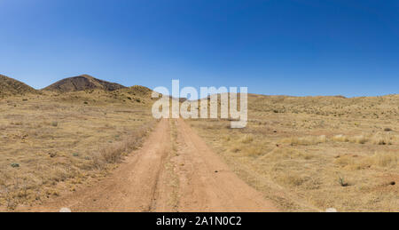 Gerade Feldweg führt durch trockenes Grasland. Stockfoto