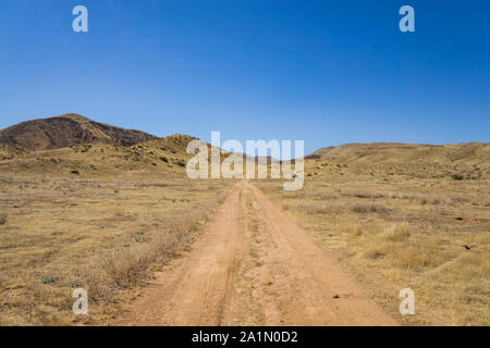 Gerader Pfad führt durch die Wüste Grasland von Carrizo Plain National Monument. Stockfoto