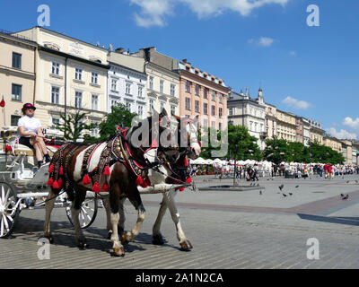 Ein paar Pferde ziehen eine touristische Beförderung auf dem Marktplatz in Krakau. Stockfoto