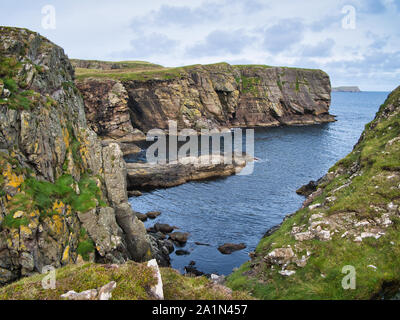 Sandstein Klippen an der Küste in der Nähe von East Shetland Levenwick angezeigt erodiert Gesteinsschichten - Grundlage ist Teil der Bressay Flagstone Bildung Stockfoto