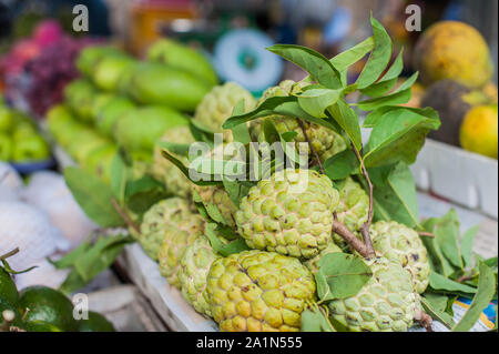 Annona squamosa, Zuckerapfel auf dem vietnamesischen Markt Stockfoto