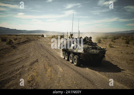 Us Marine Corps Light Armored Reconnaissance (LAR) Fahrzeuge mit 3 LAR Bataillon, 1st Marine Division, zu manövrieren, während integrierte Ausbildung Übung (ITX) 5-19 in der Marine Corps Air Ground Combat Center, Twentynine Palms, Calif., Aug 4, 2019. Norwegische Streitkräfte in ITX teilgenommen zu erhöhen US Marine Corps und die Fähigkeiten der norwegischen Armee zu Nutzen und Integrieren der alliierten Truppen in einem Kampf Umwelt durch elektronische Kriegsführung unterstützen. (U.S. Marine Corps Foto von Lance Cpl. Cedar Barnes) Stockfoto