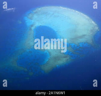 Patch Riff in der nördlichen Great Barrier Reef in der Nähe von Cooktown, Queensland, Australien Stockfoto