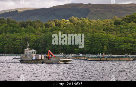 Aquakultur - Fischzucht - am Loch Lochy in Schottland, Großbritannien. Stockfoto