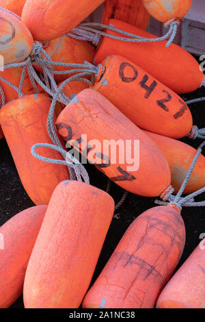 Nahaufnahme der Fischerei Landstreicher. Helles Orange Stockfoto