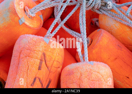 Nahaufnahme der Fischerei Landstreicher. Helles Orange Stockfoto