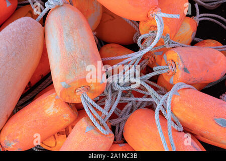 Nahaufnahme der Fischerei Landstreicher. Helles Orange Stockfoto