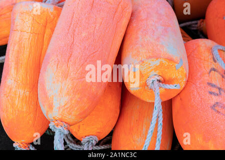 Nahaufnahme der Fischerei Landstreicher. Helles Orange Stockfoto