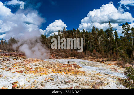 Steamboat Geyser, Yellowstone National Park Stockfoto