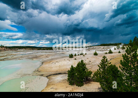 Norris Geyser Basin, Yellowstone-Nationalpark Stockfoto