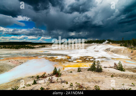 Norris Geyser Basin, Yellowstone-Nationalpark Stockfoto