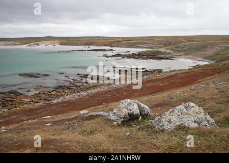 Bucht an der Küste in der Nähe der Siedlung auf Pebble Island Falkland Inseln Stockfoto