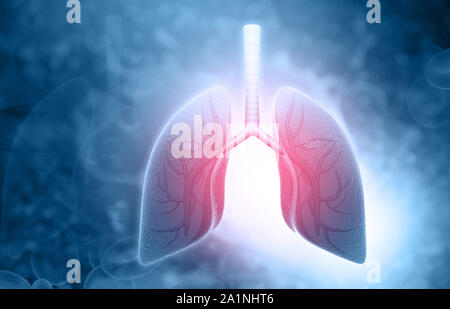 Menschliche lungen mit medizinischem Hintergrund. 3D-Darstellung Stockfoto