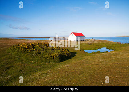 Teil der Siedlung trostlosen Insel Falkland Inseln Stockfoto