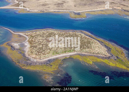 Luftaufnahme der kleine Insel mit Tussac grass Poa flabellata West Falkland Inseln Falkland Inseln Britisches Überseegebiet November 2016 abgedeckt Stockfoto