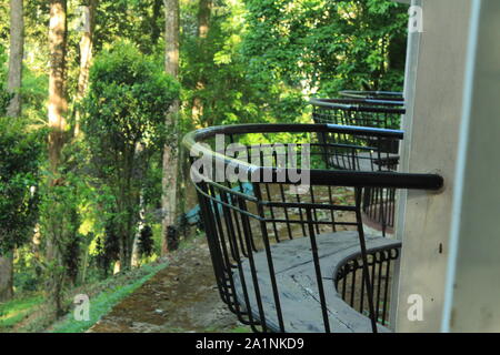 Freude am Schauen und Begreifen ist am schönsten Geschenk der Natur. Stockfoto