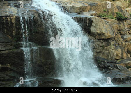 Freude am Schauen und Begreifen ist am schönsten Geschenk der Natur. Stockfoto