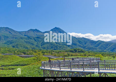 Die Holzbrücke bei Shiretoko National Park, Hokkaido, Japan Stockfoto