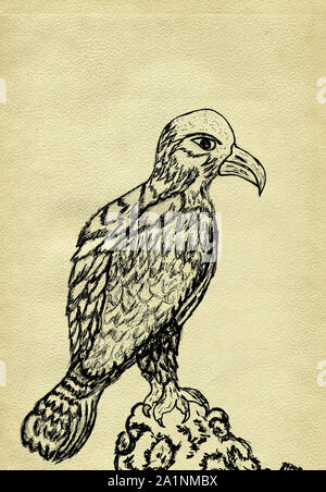 Grunge Skizze eines Adlers, handgezeichnete Illustrationen. Stockfoto