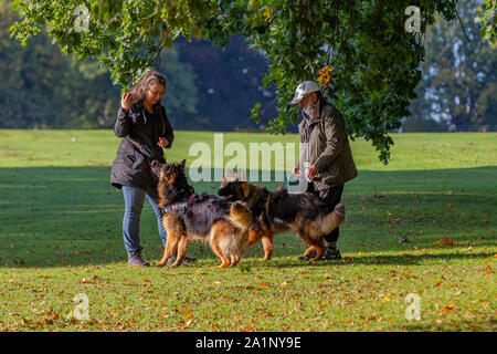 Northampton, Großbritannien. 28. September 2019. Wetter. Herbstliche Sonne heute morgen für den Hund Wanderer in Abington Park, die meisten tragen extra Kleidung wegen der kühleren Luft am Morgen. Credit: Keith J Smith./Alamy leben Nachrichten Stockfoto