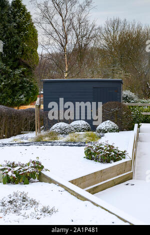 Elegantes, modernes Design, Landschaftsgestaltung und Bepflanzung (formschnitt) auf Holz Hochbeet durch blaue Schuppen - Schnee Wintergarten, Yorkshire, England, UK. Stockfoto