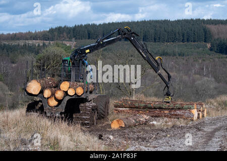 Forstwirtschaftliche Arbeiten, Braemar, Cairngorm National Park, Schottland. Laden von Schnittholz. Stockfoto