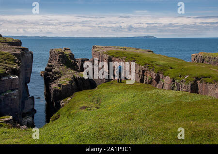 Handa Island, Scottish Wildlife Trust Wildlife Reserve, Sutherland, NW Schottland Stockfoto