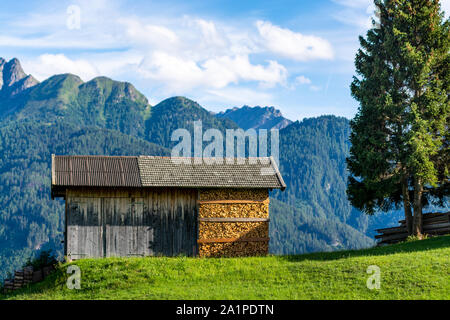 Kabine in einer Weide in den österreichischen Alpen bei Serfaus (Tirol), Berge im Hintergrund Stockfoto