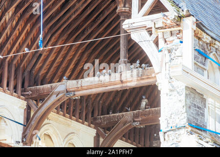 Die Christchurch Cathedral an einem sonnigen Tag in Neuseeland Stockfoto