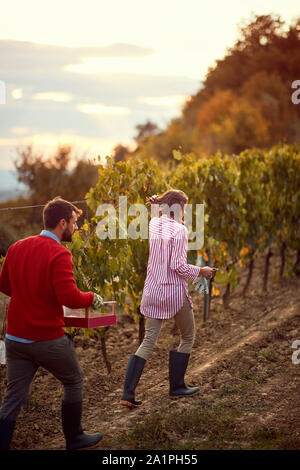 Paar zu Fuß durch die Weinberge. Familie Weinlese im Weinberg Stockfoto