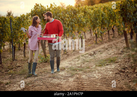 Wein und Trauben. Ernte Trauben. Mann und Frau Ernte Trauben im Weinberg Stockfoto