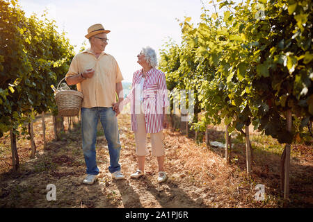 Herbst Weinberge. Wein und Trauben. Familie Tradition. Lächelnd senior Winzer wandern in zwischen den Reihen von Reben Stockfoto