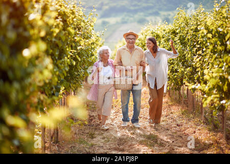 Reife Trauben im Weinberg. Familie Weinberg. Lächelnd Familie wandern in zwischen den Reihen von Reben zusammen Stockfoto