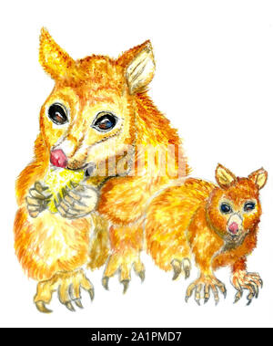 Aquarell cute Cartoon golden Possum oder australischen Kuzu, handgezeichnete Illustrationen. Stockfoto