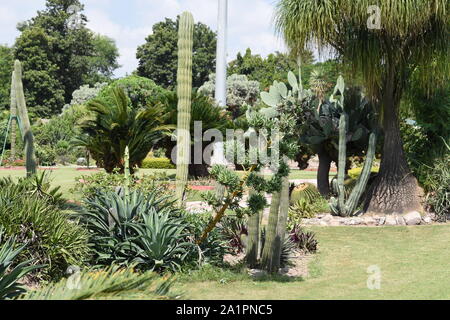 Blick auf unterschiedliche Arten von Pflanzen in einem Garten. Stockfoto
