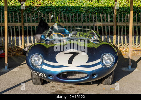 1955 Jaguar D-Type "lange Nase" von Gary Pearson im Fahrerlager am 2019 Goodwood Revival, Sussex, UK. Sussex Trophy Teilnehmer. Stockfoto