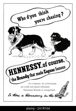 Anzeige für Hennessy Cognac, 1951. Die Abbildung zeigt eine St-bernard Hund mit einem kleinen Fass Weinbrand um den Hals mit einem Pudel folgenden mit einer Flasche Mineralwasser. Hennessy ist eine französische Schnaps Brennerei mit Sitz in Cognac, Frankreich. Heute verkauft das Unternehmen rund 50 Millionen Flaschen im Jahr oder mehr als 40 Prozent der weltweiten Cognac, der größte Produzent. Stockfoto