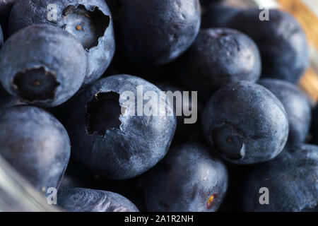 Frisch Blaubeeren bereit zu essen oder in der Küche verwenden ausgewählt Stockfoto