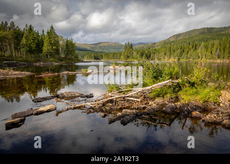 Natur Landschaft in Namsskogan, Trondelag, Norwegen Stockfoto