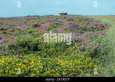 Chun Quoit, Alte Grabkammer, in der Nähe von Pendeen, Cornwall, Großbritannien Stockfoto