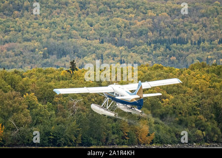 Ein Katmai Air de Havilland Canada DHC-2 Beaver zieht aus Brooks Camp am Katmai National Park September 16, 2019 von King Salmon, Alaska. Die entfernten Nationalpark, für die grösste Konzentration von Braunbären in der Welt bekannt ist nur mit dem Wasserflugzeug oder dem Wassertaxi erreichbar. Stockfoto