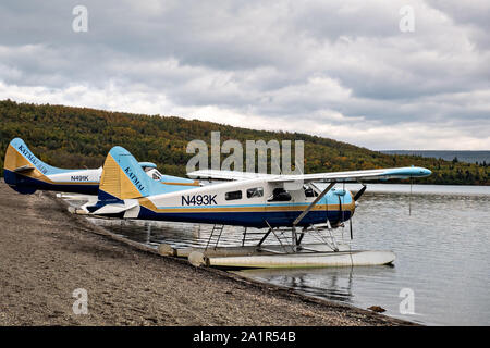 Wasserflugzeuge Line up am Strand entlang an Bächen Camp warten Besucher zurück in die Zivilisation im Katmai National Park September 16, 2019 in der Nähe von King Salmon, Alaska zu nehmen. Die entfernten Nationalpark, für die grösste Konzentration von Braunbären in der Welt bekannt ist nur mit dem Wasserflugzeug oder dem Wassertaxi erreichbar. Stockfoto