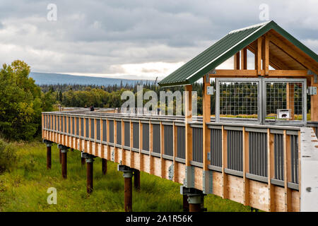 Die neue Beobachtung Brücke und Gehweg über die untere Brooks River im Katmai National Park September 16, 2019 in der Nähe von King Salmon, Alaska. Die neue Beobachtung Plattformen und Brücken wurden im Winter 2019 mit einem Kostenaufwand von mehr als $ 6 Millionen Dollar in der entfernten Park für eine der größten Konzentrationen der Bären in der ganzen Welt wissen. Stockfoto